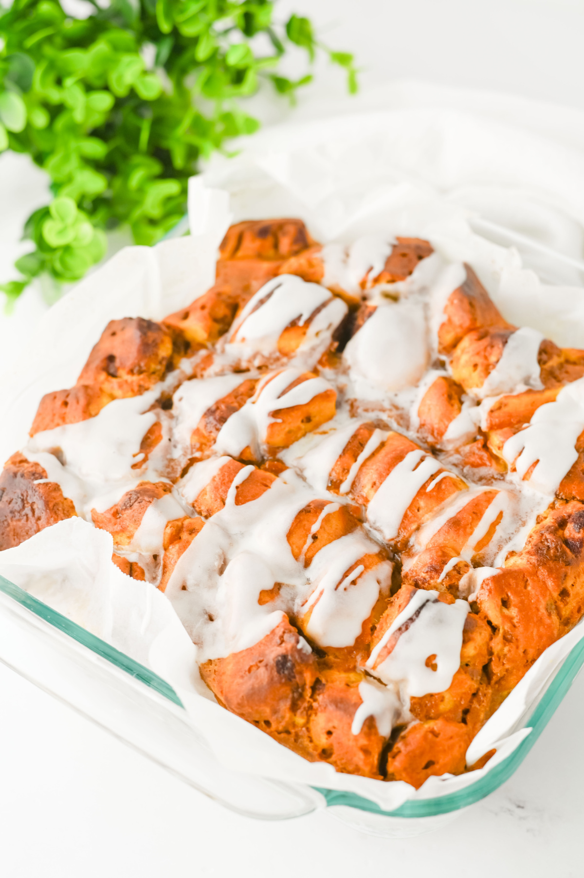 A glass baking dish with iced cinnamon roll bites on parchment paper, with a green plant in the background.